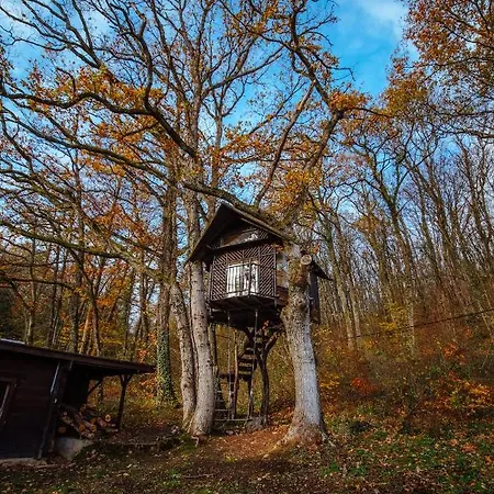 Eco-lodge Le Grand Nichet * Beauraing